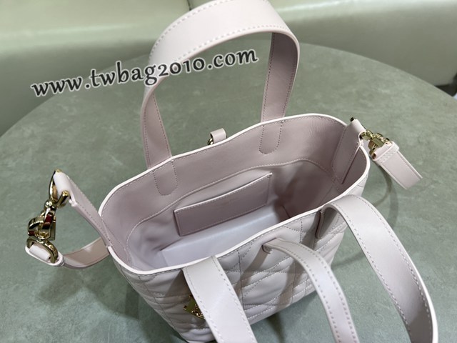 Dior专柜2025新款迪奥高仿原单Toujours竖版手袋牛皮休闲手提女包 djfk1301